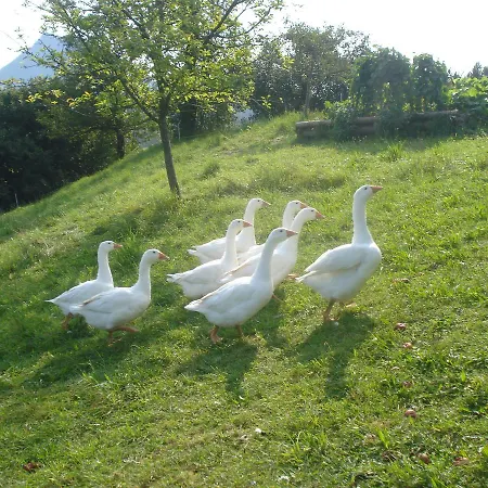 Haus Stoellinger Vakantiehuis *