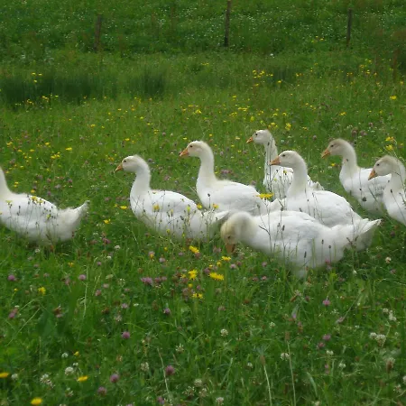 Haus Stoellinger Vakantiehuis Hof bei Salzburg