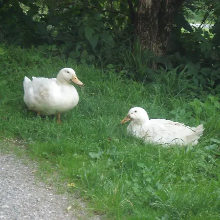 Vakantiehuis Haus Stoellinger *