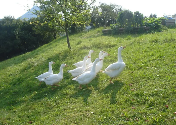 Haus Stoellinger Hébergement de vacances *