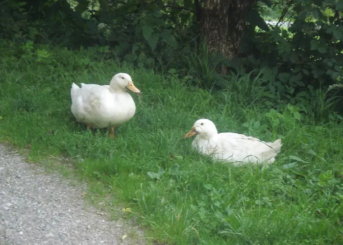 Hébergement de vacances Haus Stoellinger *